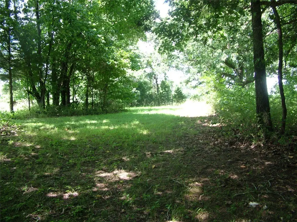 Picture 15