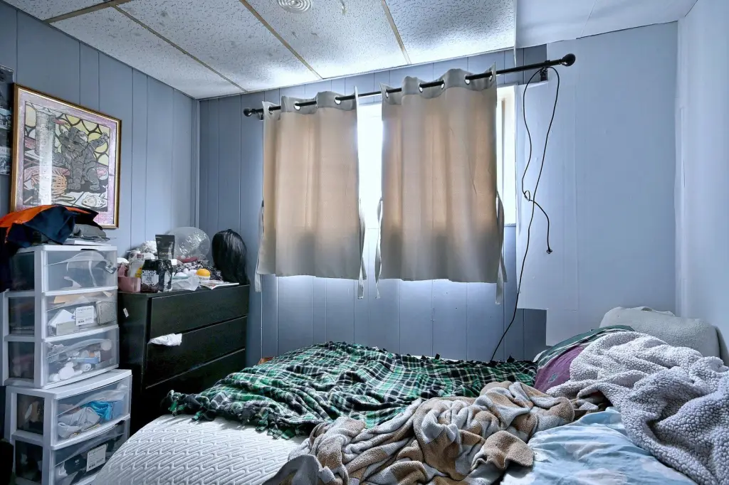 Picture 11