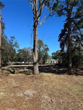 Vacant Lot in Carrollwood, Tampa