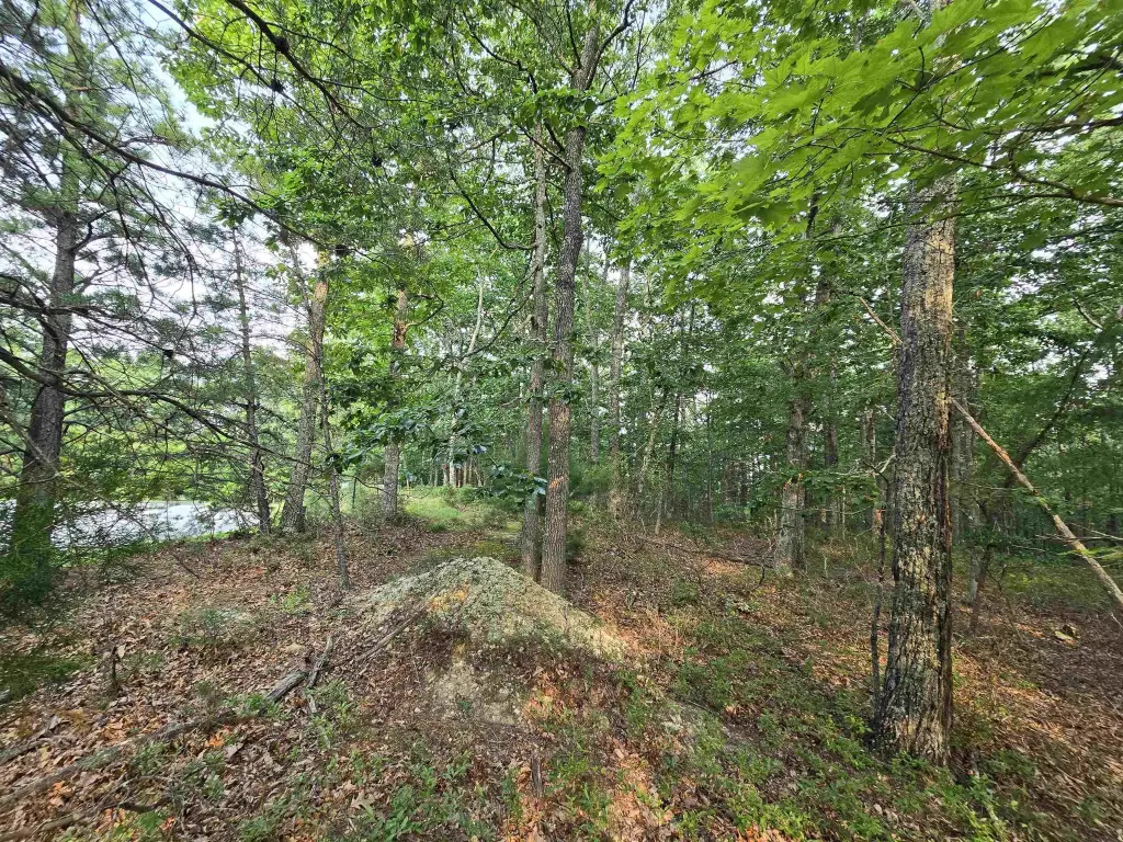 Picture 16