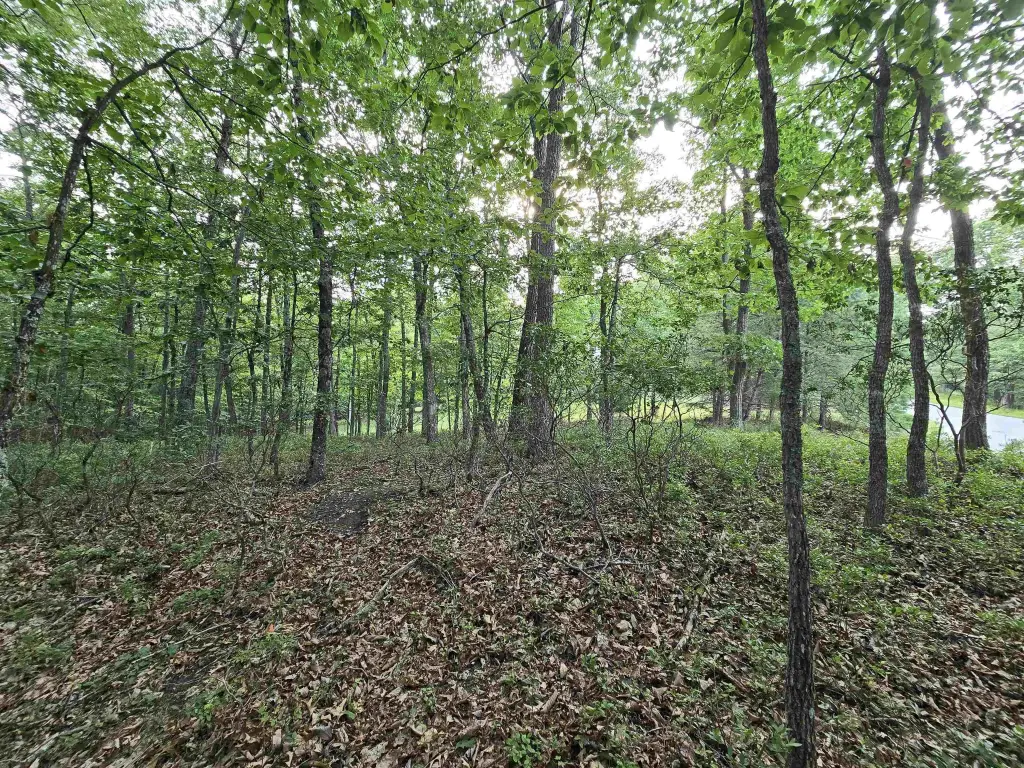 Picture 14