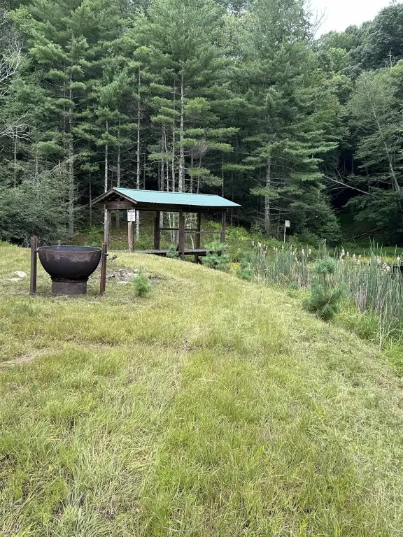 Picture 5