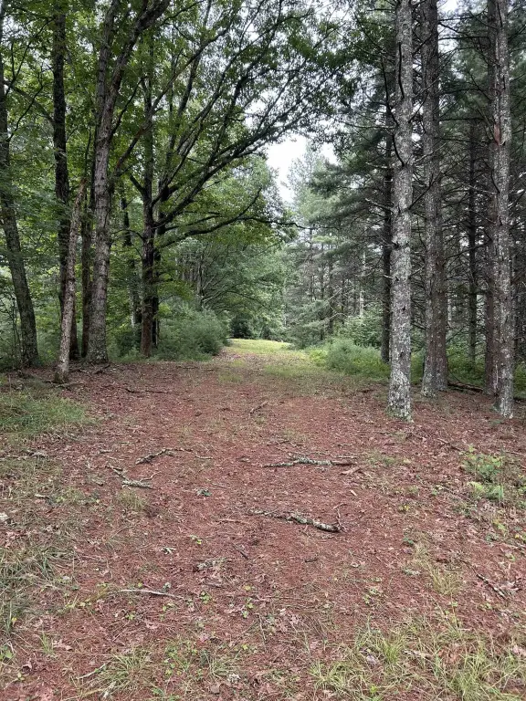 Picture 18