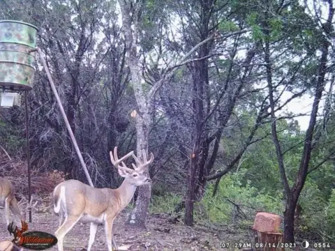 Iredell, TX Hunting Retreat