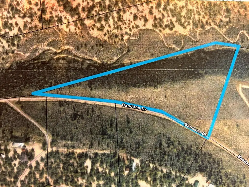 Picture 15
