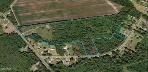 Lumberton Acreage: Private Homestead Potential