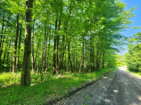 Erin, NY Vacant Land