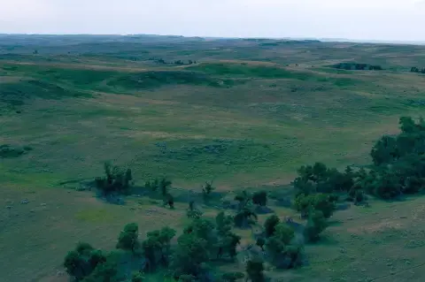 Montana Cattle Ranch with Leases