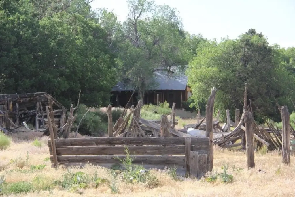 Picture 31