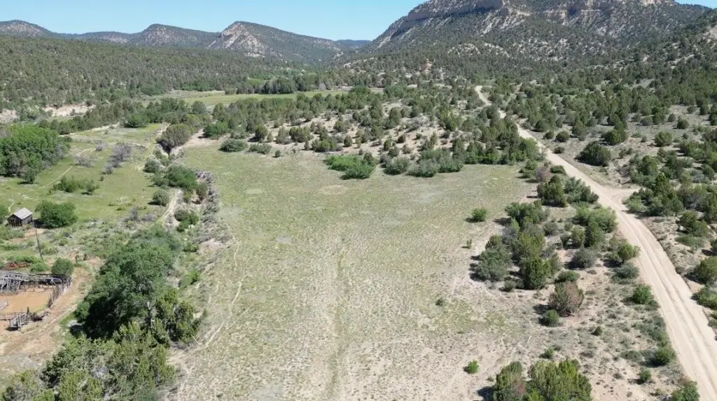 Picture 5