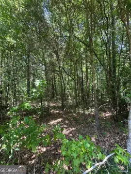 Wooded Land in Commerce, Georgia