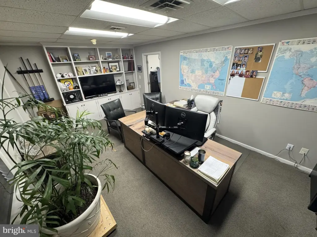 Picture 8