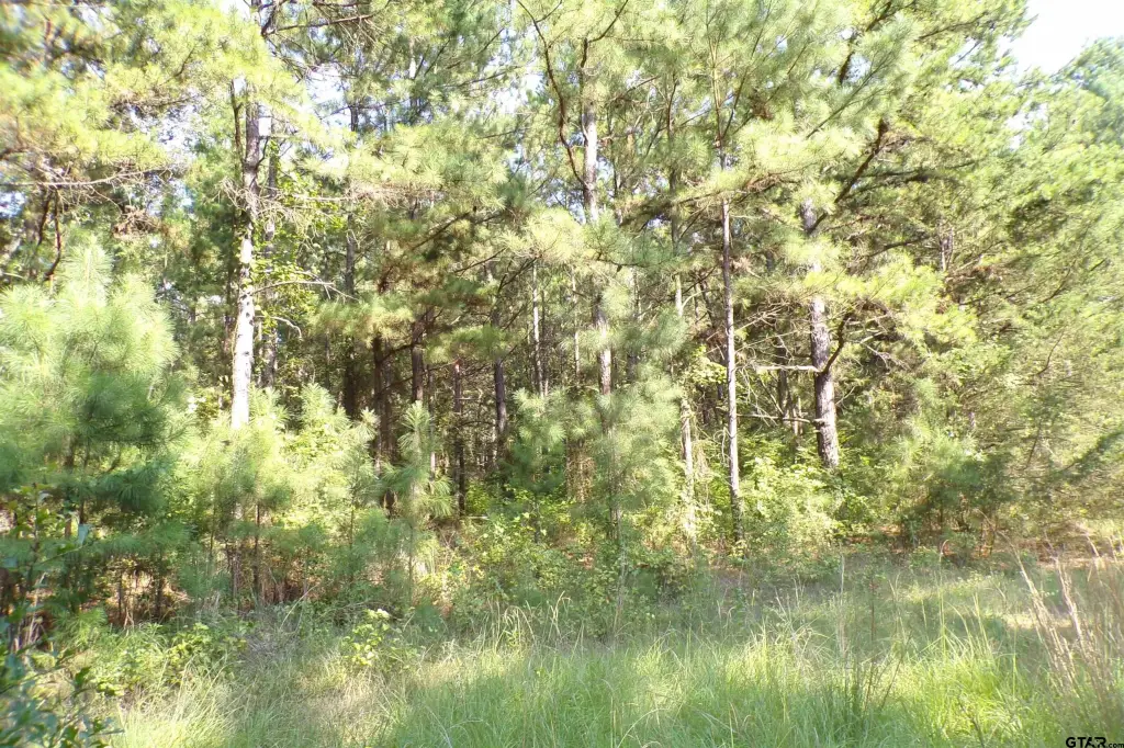 Picture 21