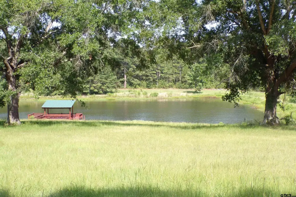 Picture 7