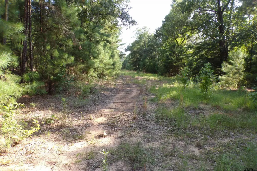Picture 20