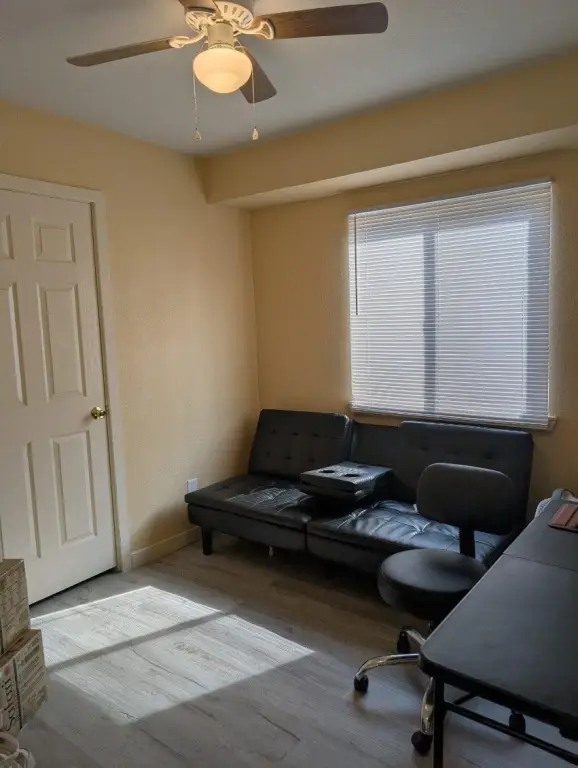Picture 7