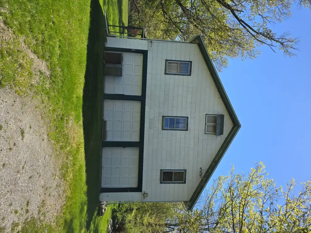 Picture 5