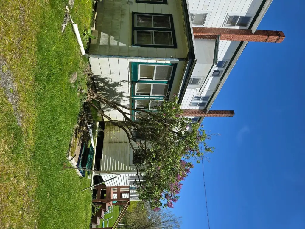 Picture 3