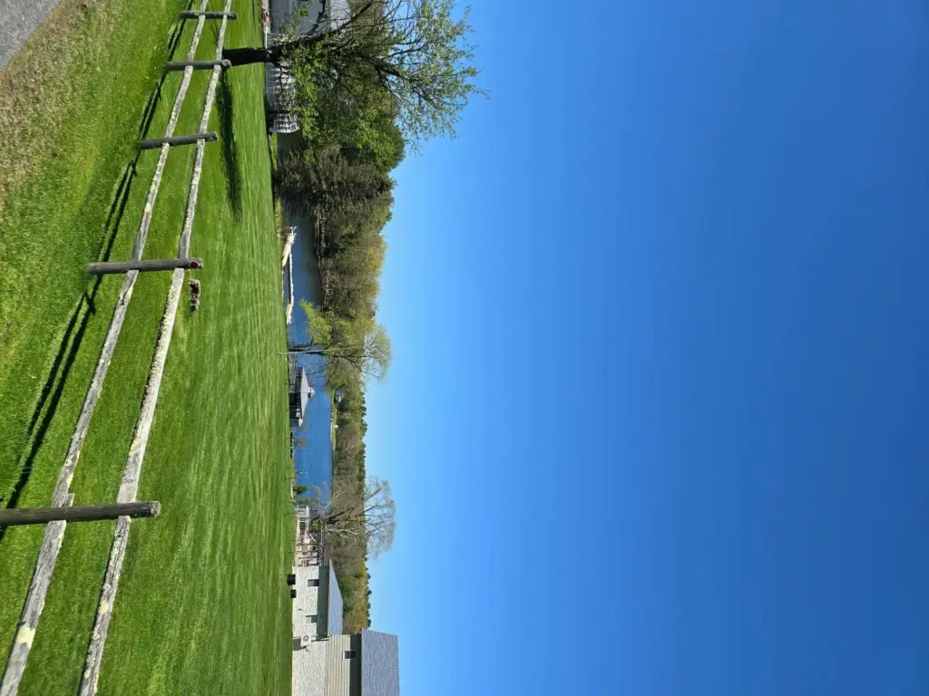 Picture 16