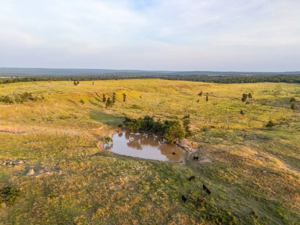 Picture 23
