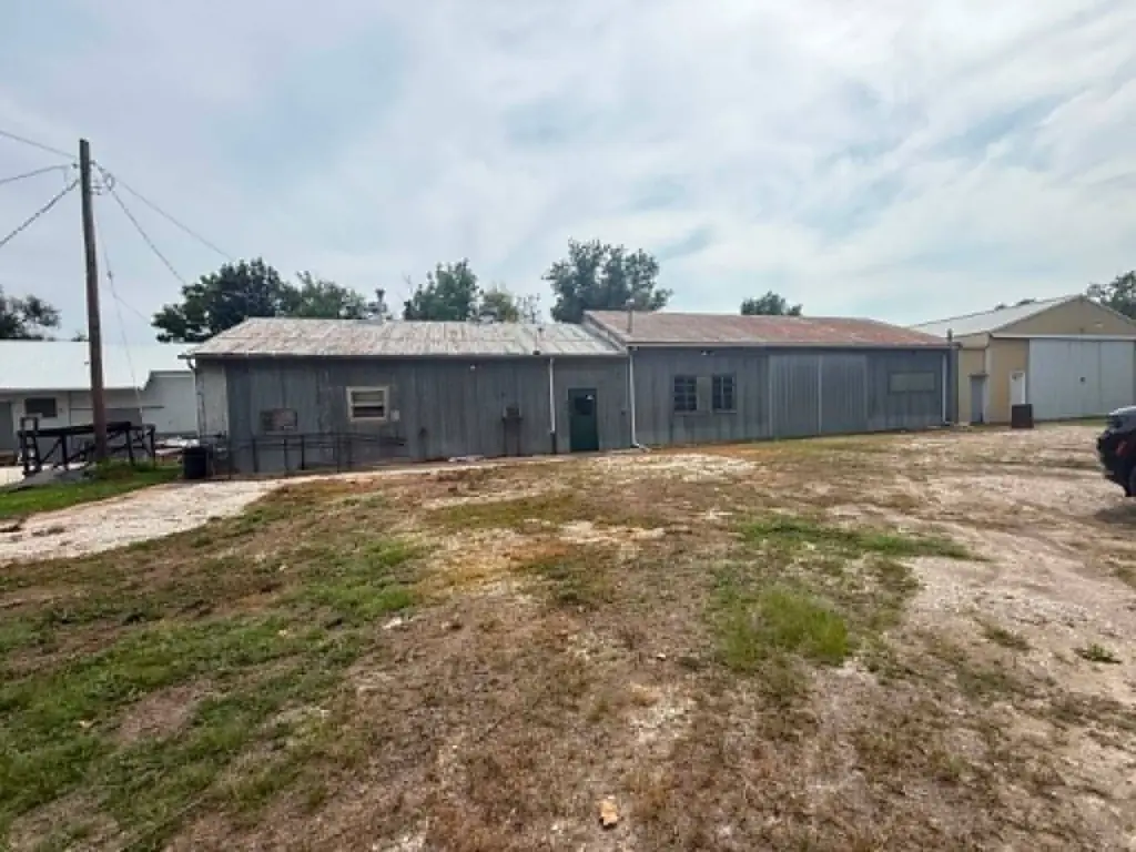 Picture 11