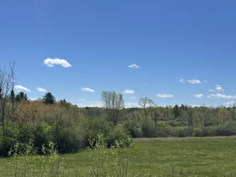 Farmland with Pasture and Woods