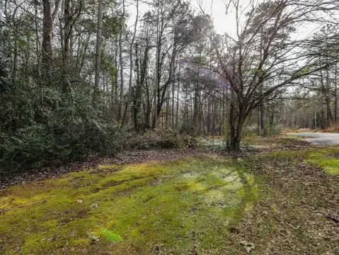 Residential Lot in Briarcreek