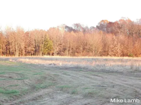 Land in Peaceful Country Setting