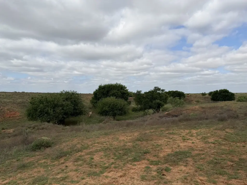 Picture 30