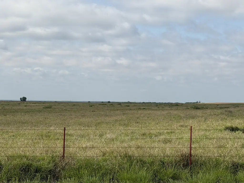 Picture 8