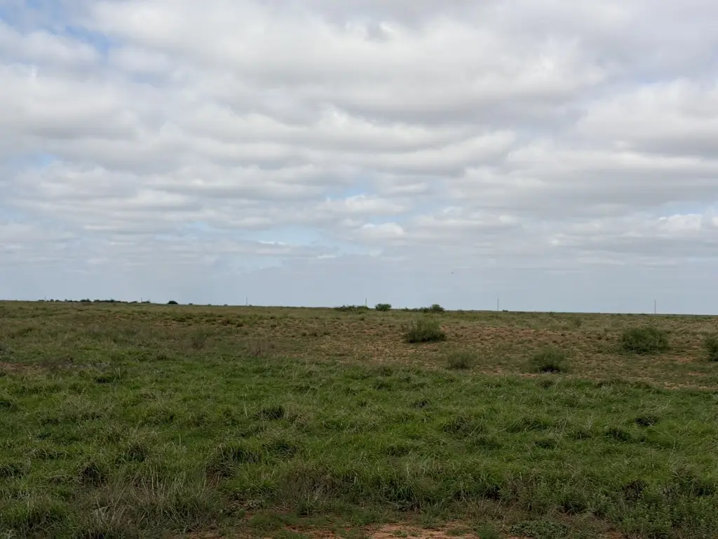 Picture 34
