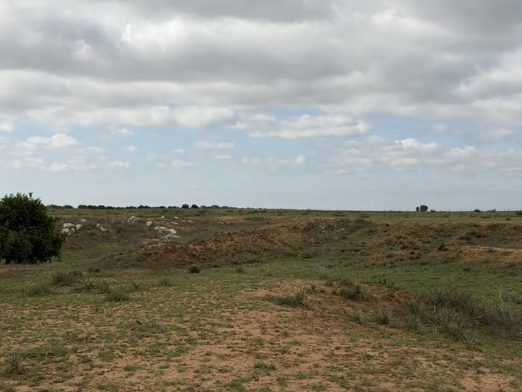 Picture 33