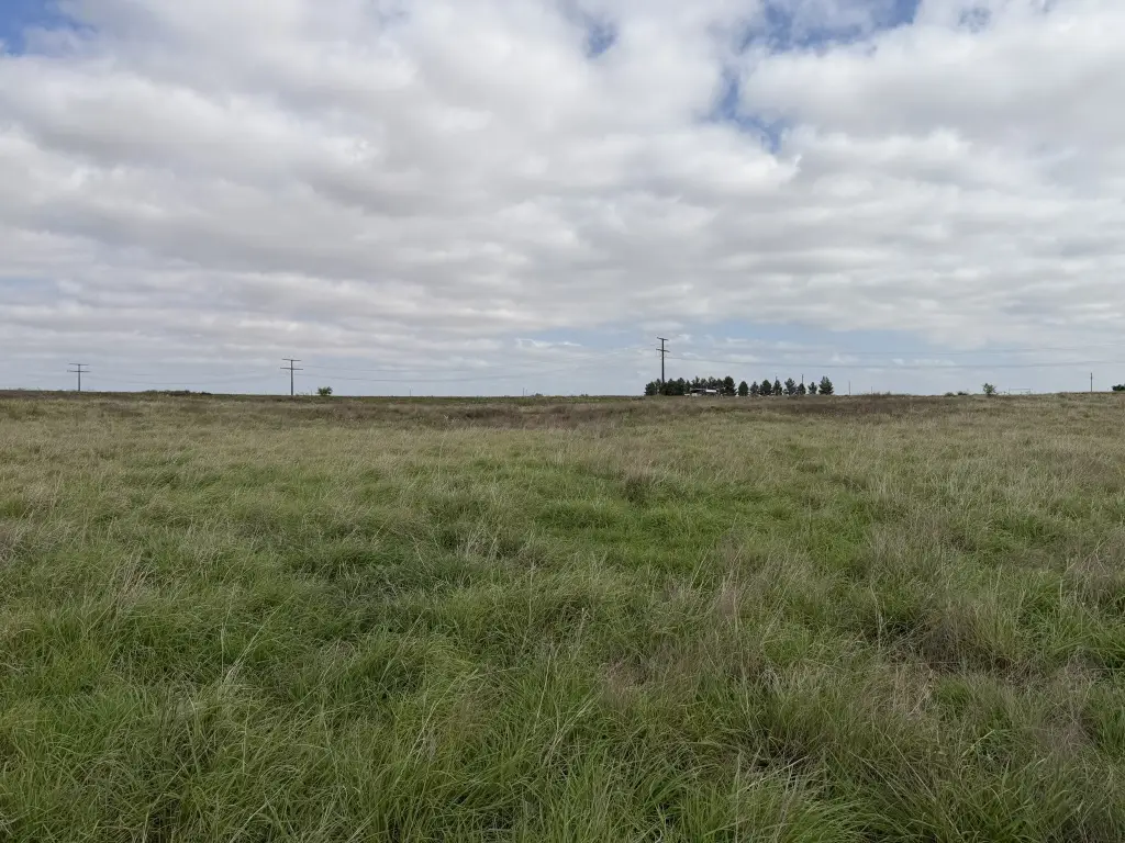 Picture 27