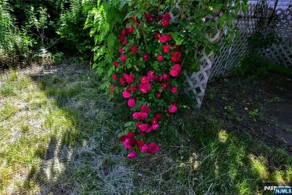 Picture 32