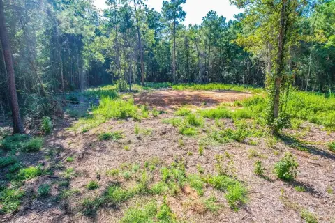 Wooded Acreage Near Sam Rayburn