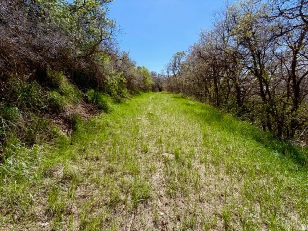 Picture 16
