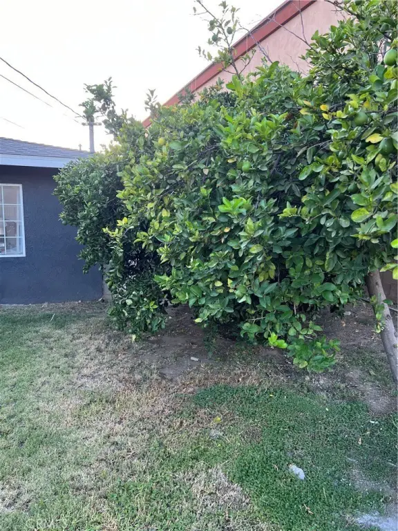 Picture 29