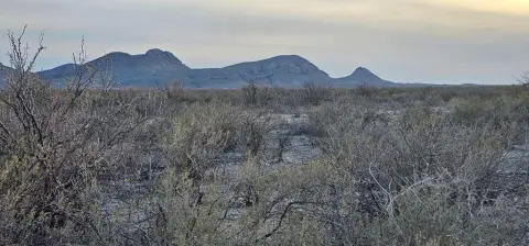 Terlingua Ranch Land For Sale