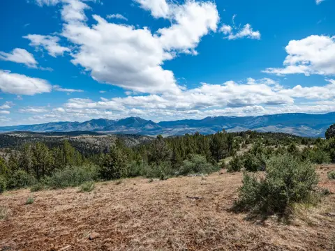 Mount Vernon Hunting and Recreational Parcel