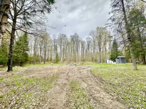Vacant Land in Channing, MI