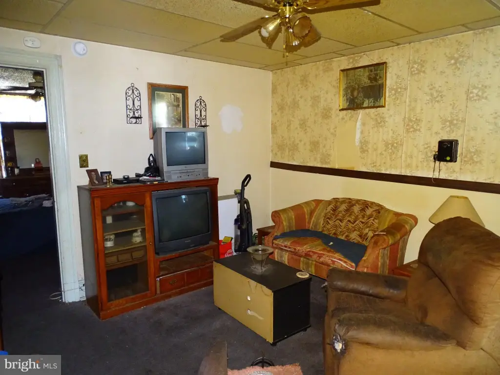 Picture 14