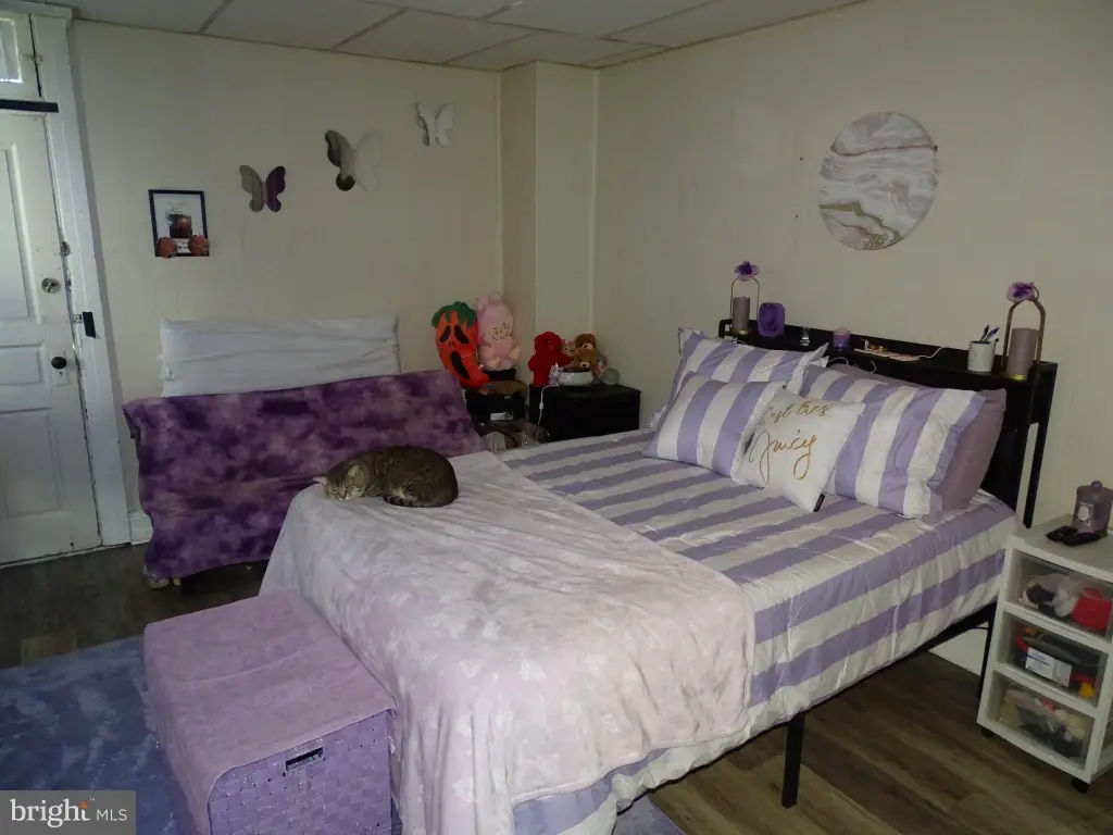 Picture 42