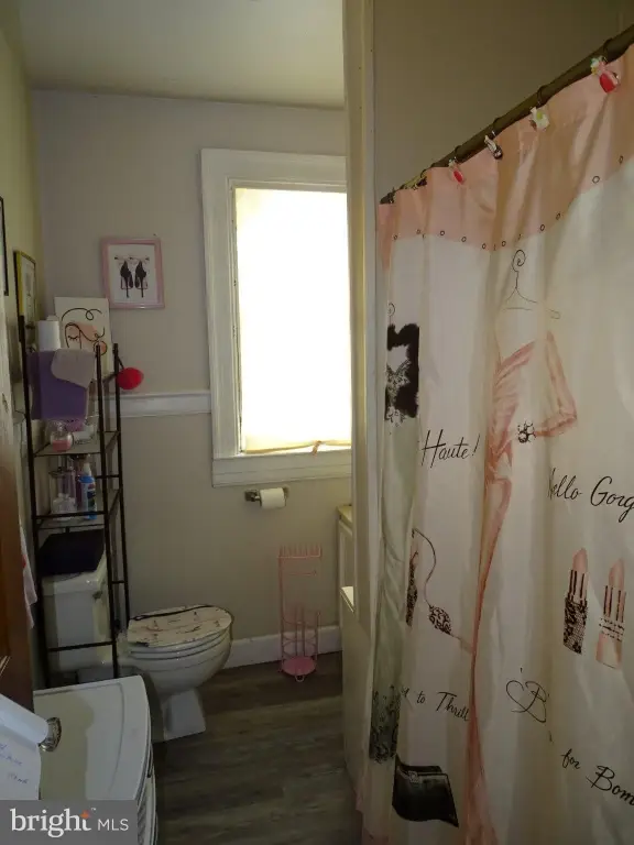 Picture 40