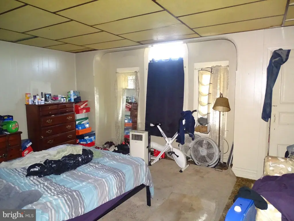 Picture 44