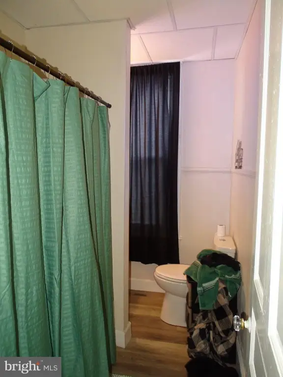 Picture 11