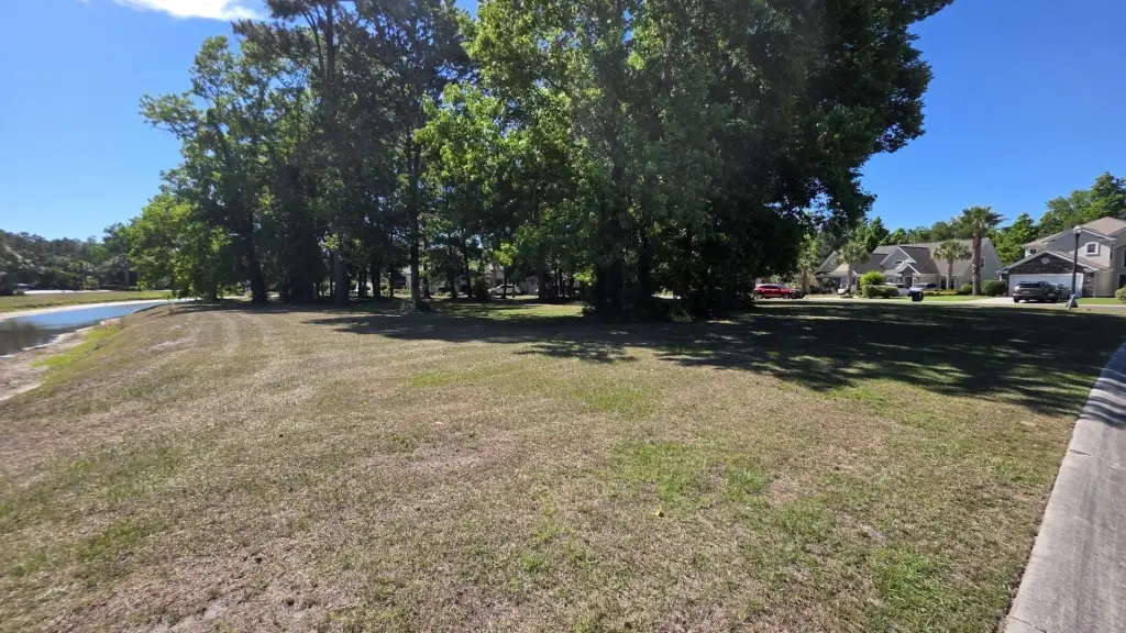 Picture 4