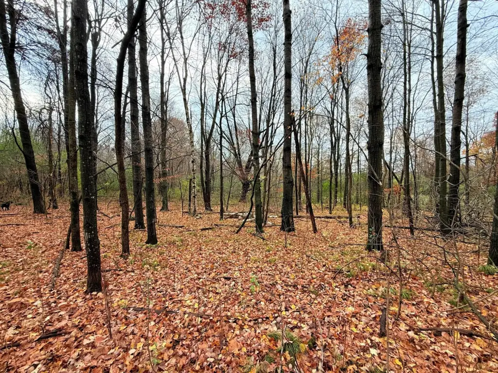 Picture 4