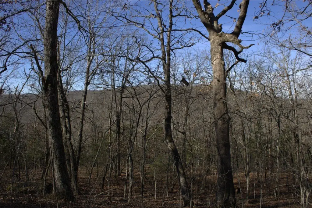 Picture 7