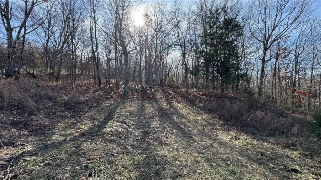 Picture 4