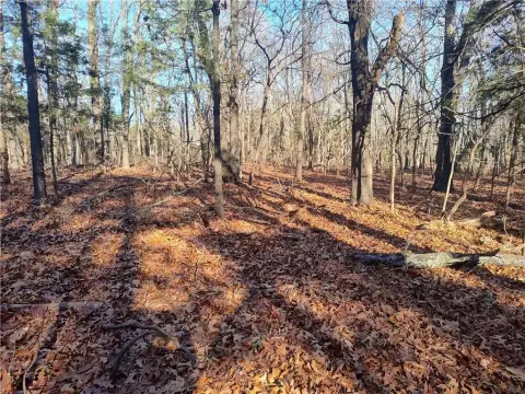 Land for Home in Garfield